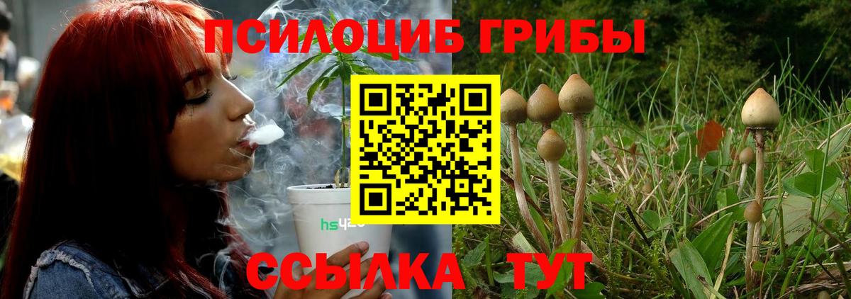Галлюциногенные грибы MAGIC MUSHROOMS  Вход с VPN  Петровск 