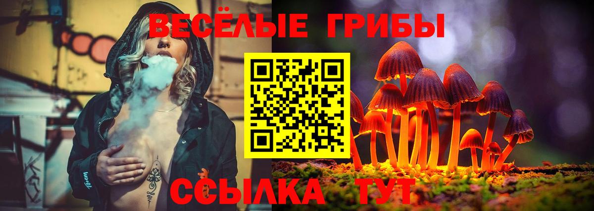Псилоцибиновые грибы Magic Shrooms Петровск